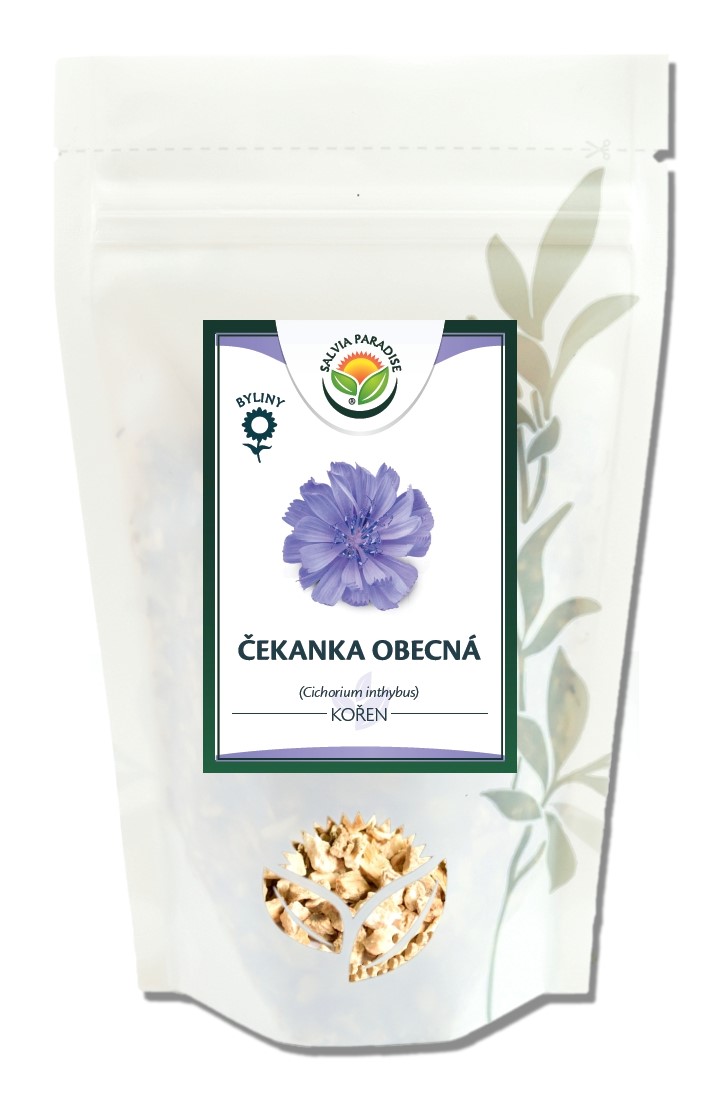 Čekanka - kořen 1kg Salvia Paradise
