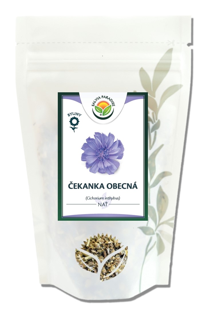 Čekanka - nať 50g Salvia Paradise