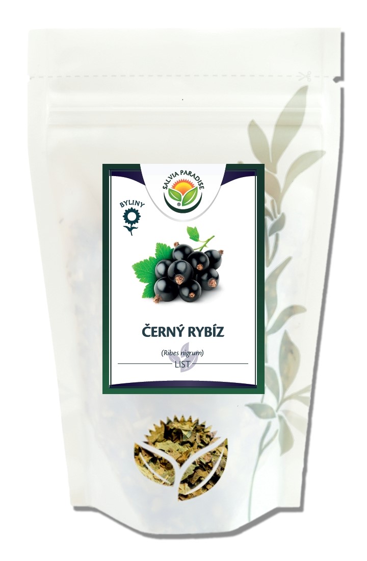 Černý rybíz - list 100g Salvia Paradise