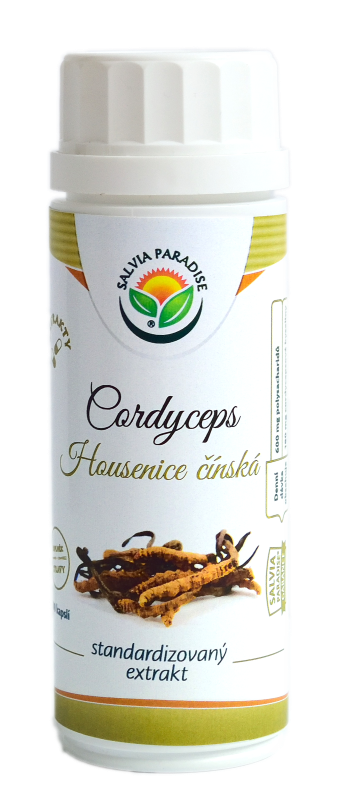 Cordyceps - housenice standardizovaný extrakt kapsle 100ks Salvia Paradise