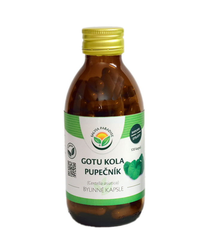 Gotu kola - pupečník kapsle 120ks Salvia Paradise