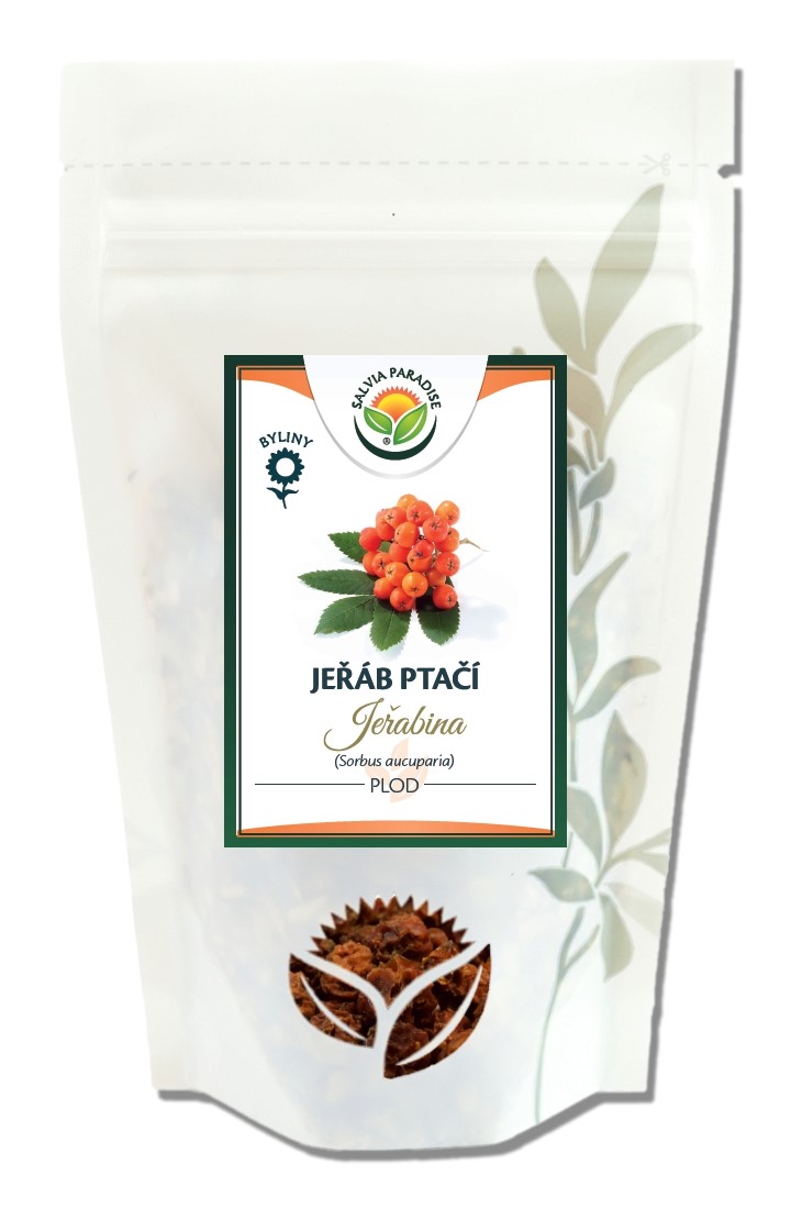 Jeřáb ptačí plod 1kg Salvia Paradise