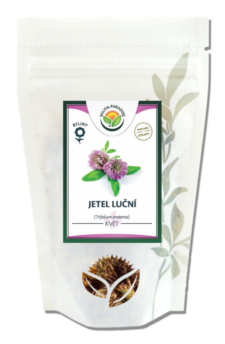 Jetel luční květ 1kg Salvia Paradise