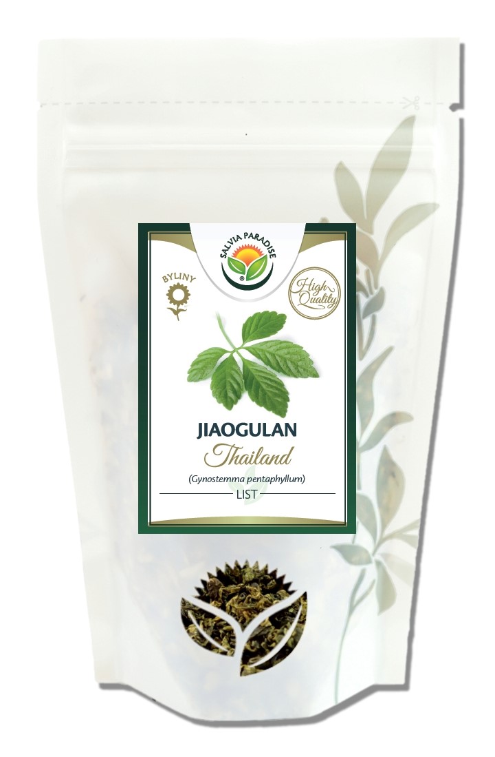 Jiaogulan Thailand HQ - ženšen pětilistý - list 100g Salvia Paradise