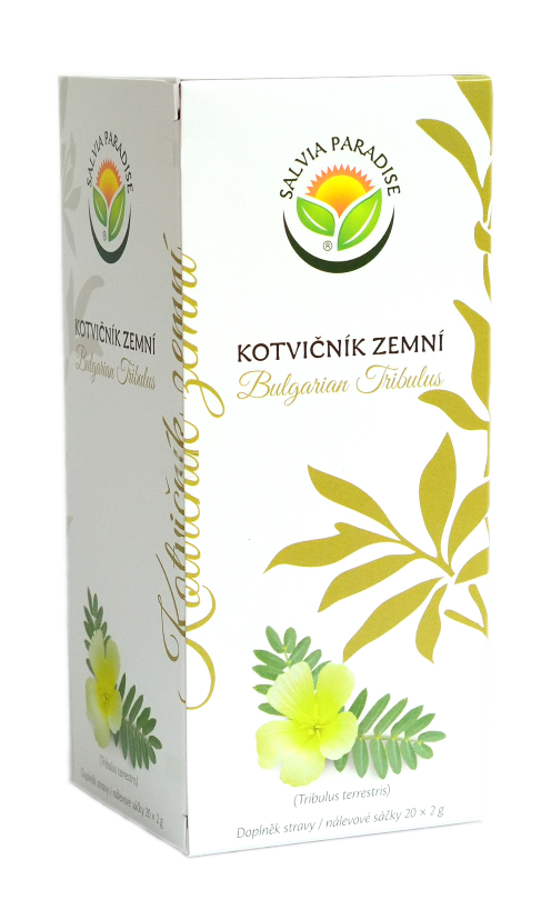 Kotvičník zemní - Tribulus - nálevové sáčky 10 balení 20x2g Salvia Paradise