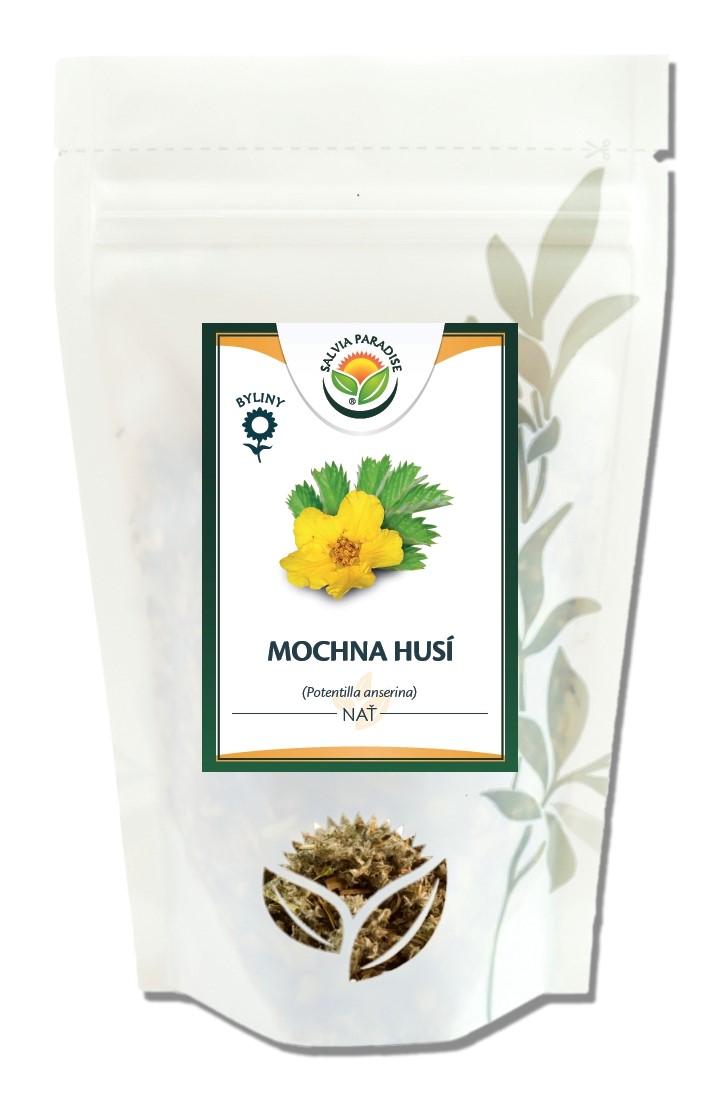 Mochna husí - nať 50g Salvia Paradise