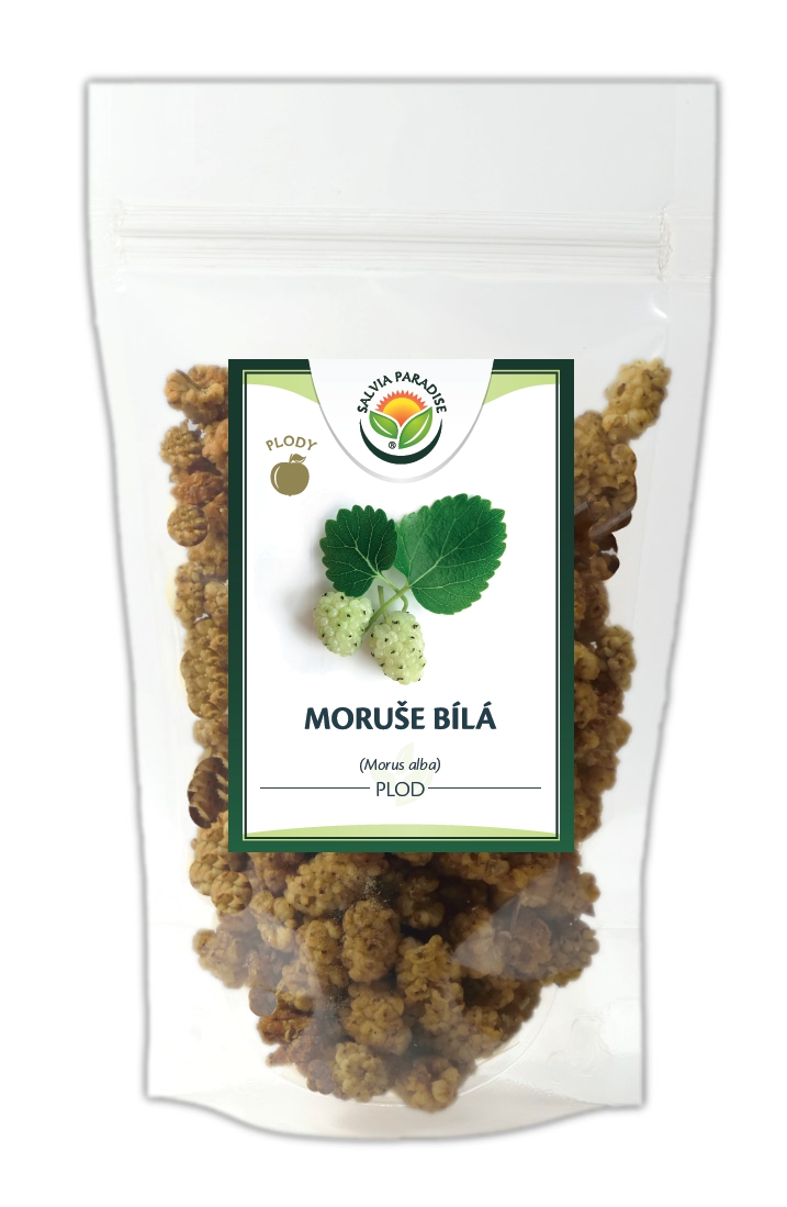 Moruše bílá - plod 250g Salvia Paradise