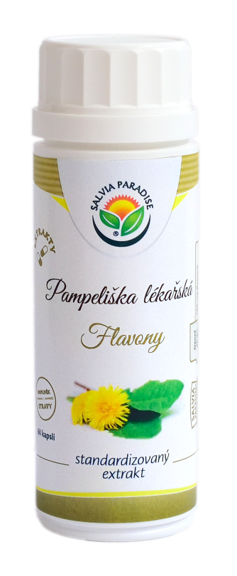 Pampeliška lékařská standardizovaný extrakt kapsle 60ks Salvia Paradise