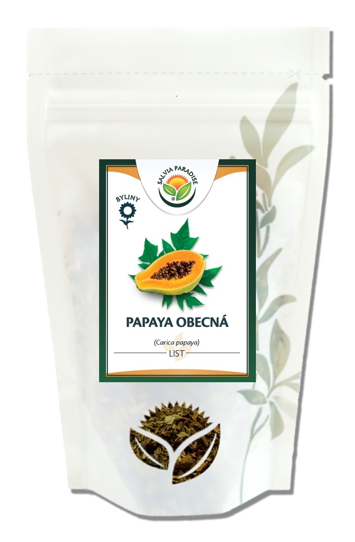 Papája obecná list 50g Salvia Paradise