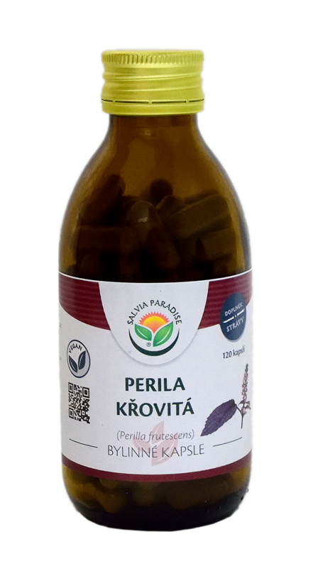 Perila křovitá kapsle 120 ks Salvia Paradise