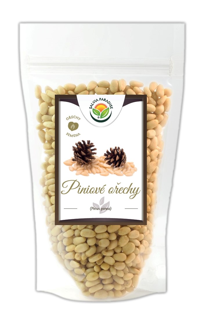 Piniové ořechy 1kg Salvia Paradise