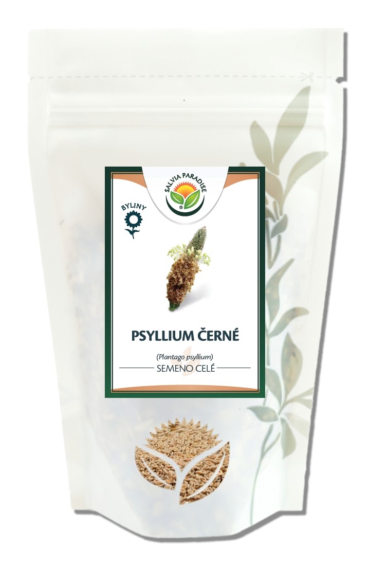 Psyllium černé semeno celé 1kg Salvia Paradise