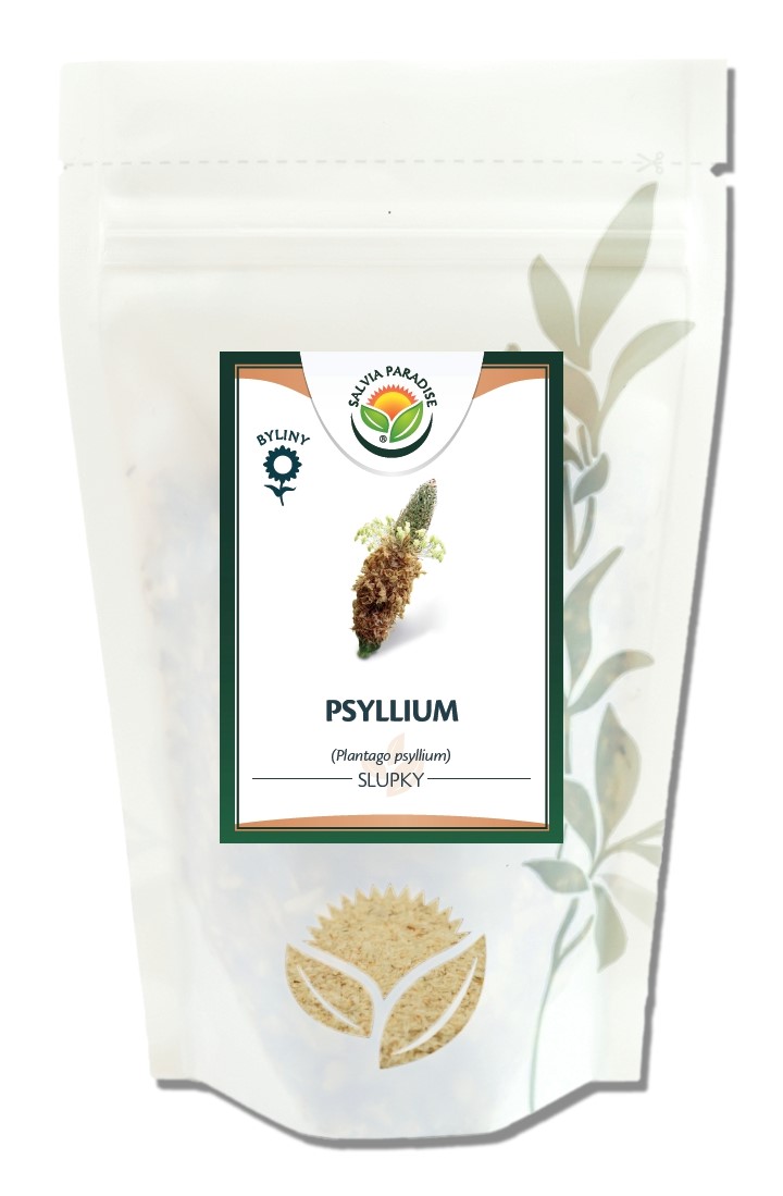Psyllium - slupky 1kg Salvia Paradise