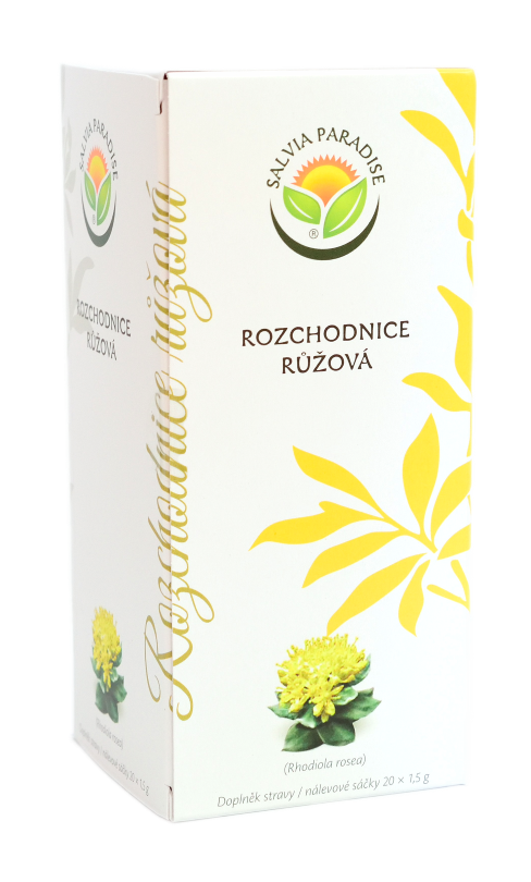 Rozchodnice růžová - Rhodiola nálevový sáček 20x1,5g Salvia Paradise