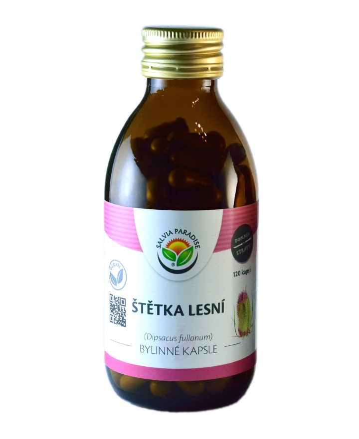 Štětka lesní kapsle 120ks Salvia Paradise