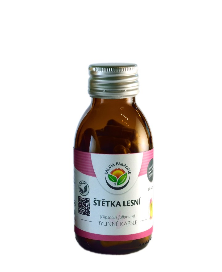 Štětka lesní kapsle 60ks Salvia Paradise