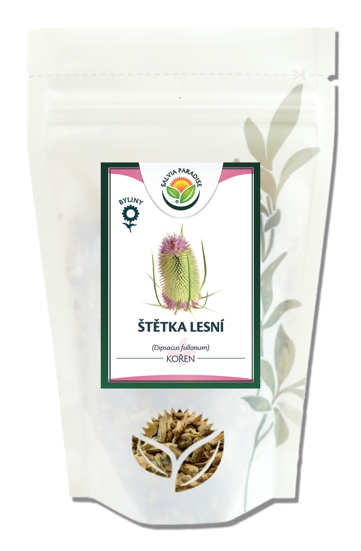 Štětka lesní kořen 100g Salvia Paradise