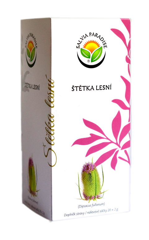 Štětka lesní nálevový sáček 20x2g Salvia Paradise