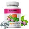 mycomeno detail s razitkem 2.3478291057