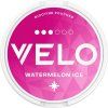 Velo Watermelon Ice nikotinové sáčky 8mg