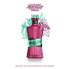 Mintis Gin Ribesa