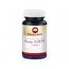 340 reishi forte 1000 90 kapsli