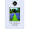 Vonný sáček Bridgewater Candle Company Lavender Lane Levandule 115ml