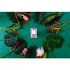 Vonný sáček Greenleaf Tropical Orchid Tropická Orchidej 115ml1