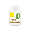 chaga extrakt kapsle 120 ks wolfberry