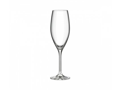 champagne flute 230
