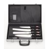 Súprava nožov v magnetickom kufri, GIESSER