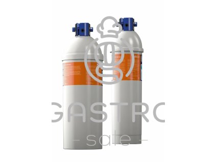 Filtr Purity C1100 Steam