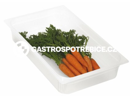 gn 1 1 h 200 mm polypropylenova