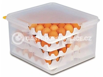 kontajner na vajicka