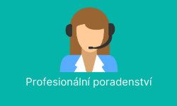 Profesionální poradenství