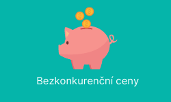 Bezkonkurenční ceny