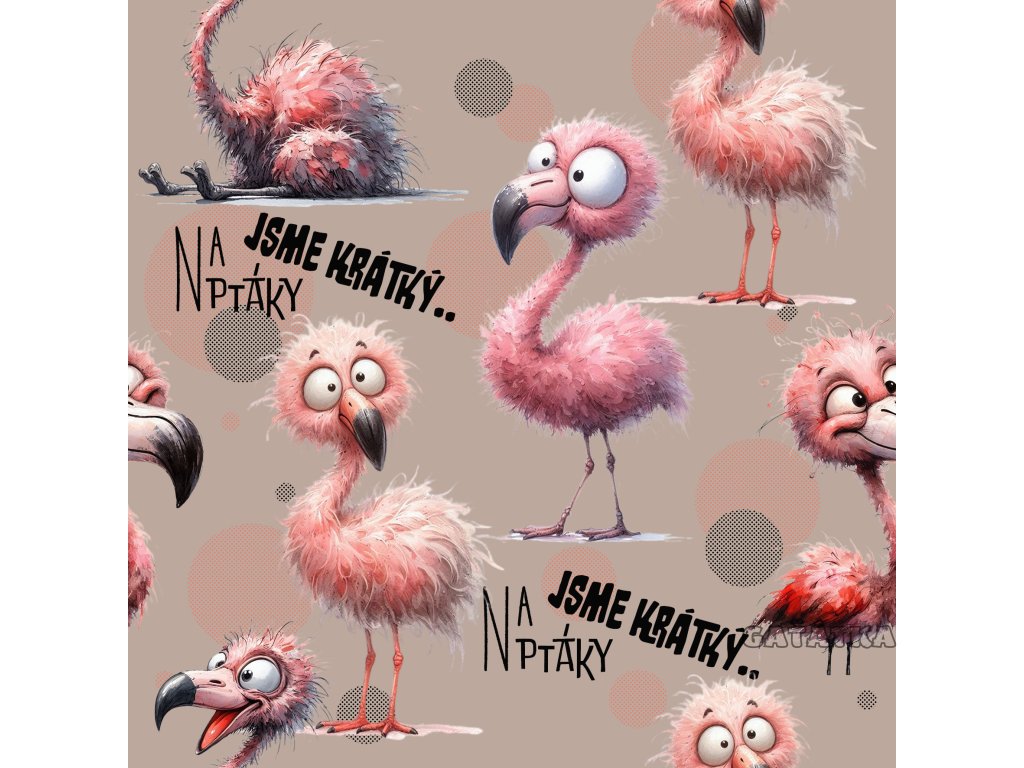 Bavlněný úplet -  Na ptáky jsme krátký