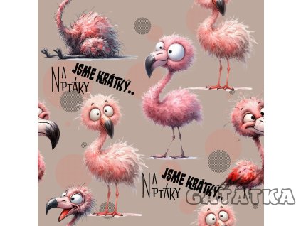 Bavlněný úplet -  Na ptáky jsme krátký