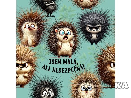 jsem malá, ale nebezpečná!.jpg 2