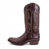 10004 dom cola barr marron 1 (1)