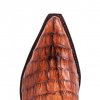 10004 cuervo cola cresta peanut 5