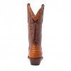 10004 dom cola barr peanut 4