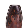 7811 blues brit fl marron evol tang 5