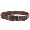 belt 214 crocodile python castana (1)