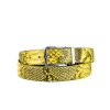 belt 810 35 python yellow