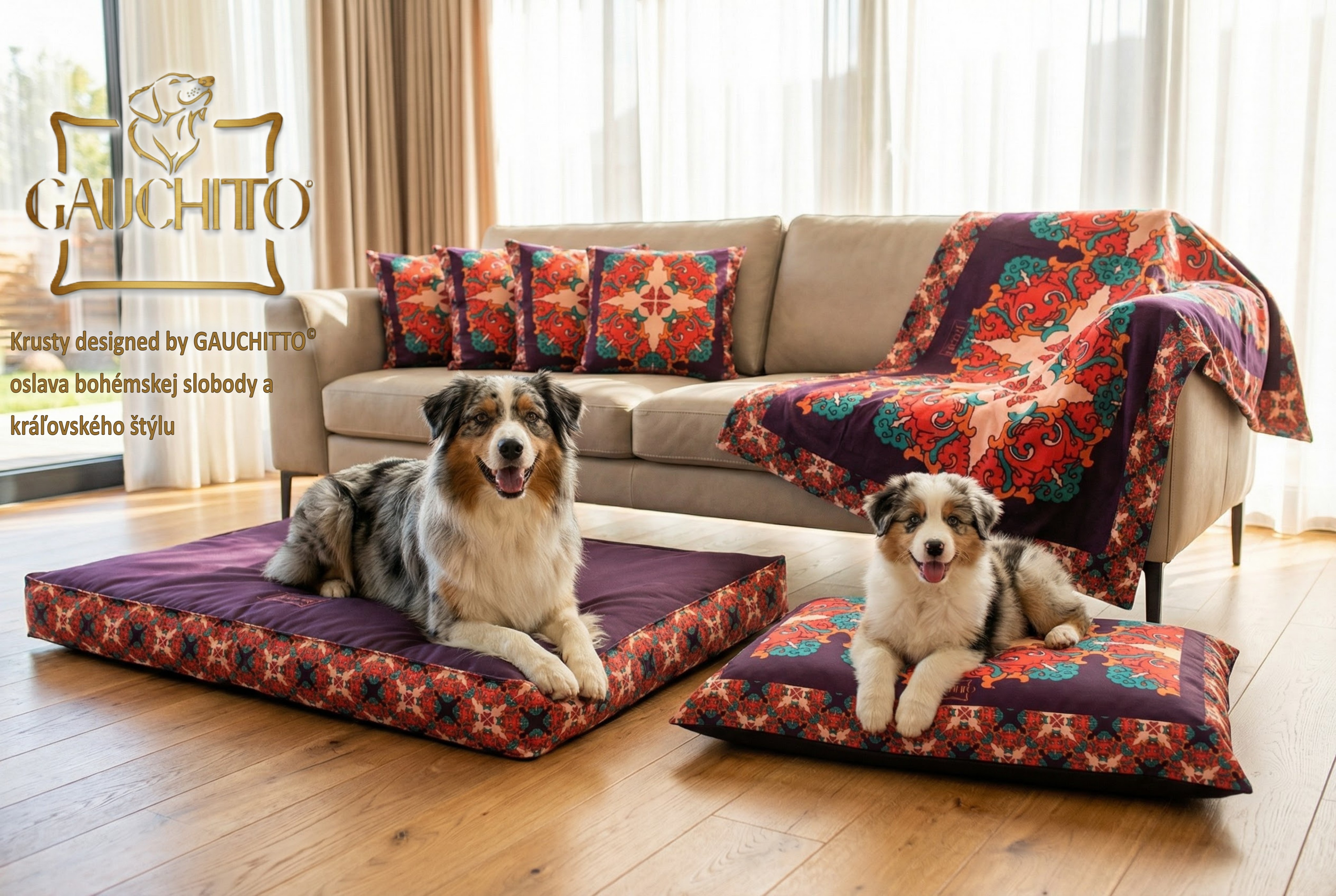 Austrálsky ovčiak - Set Krusty designed by GAUCHITTO