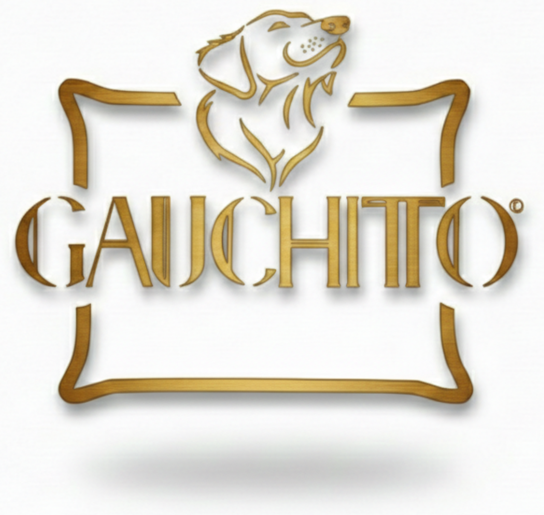 Gauchitto