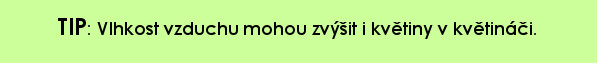 TIP: vlhkost vzduchu mohou zvýšit i květiny v květináči