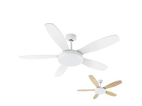Noaton 12132WWB Maia, bílá a javor, stropní ventilátor se světlem - obě verze