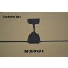 FARO 33475 MOLOKAI, tmavý ořech, stropní ventilátor  DC motor, dálkové ovládání